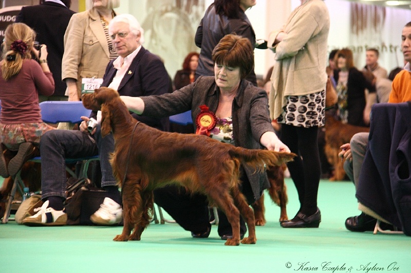 Crufts2011 894.jpg